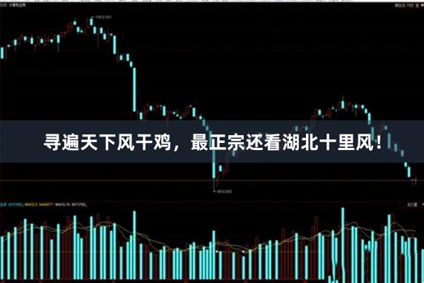 寻遍天下风干鸡，最正宗还看湖北十里风！