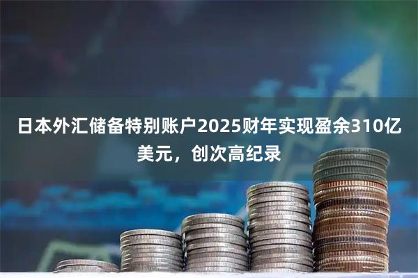 日本外汇储备特别账户2025财年实现盈余310亿美元，创次高纪录